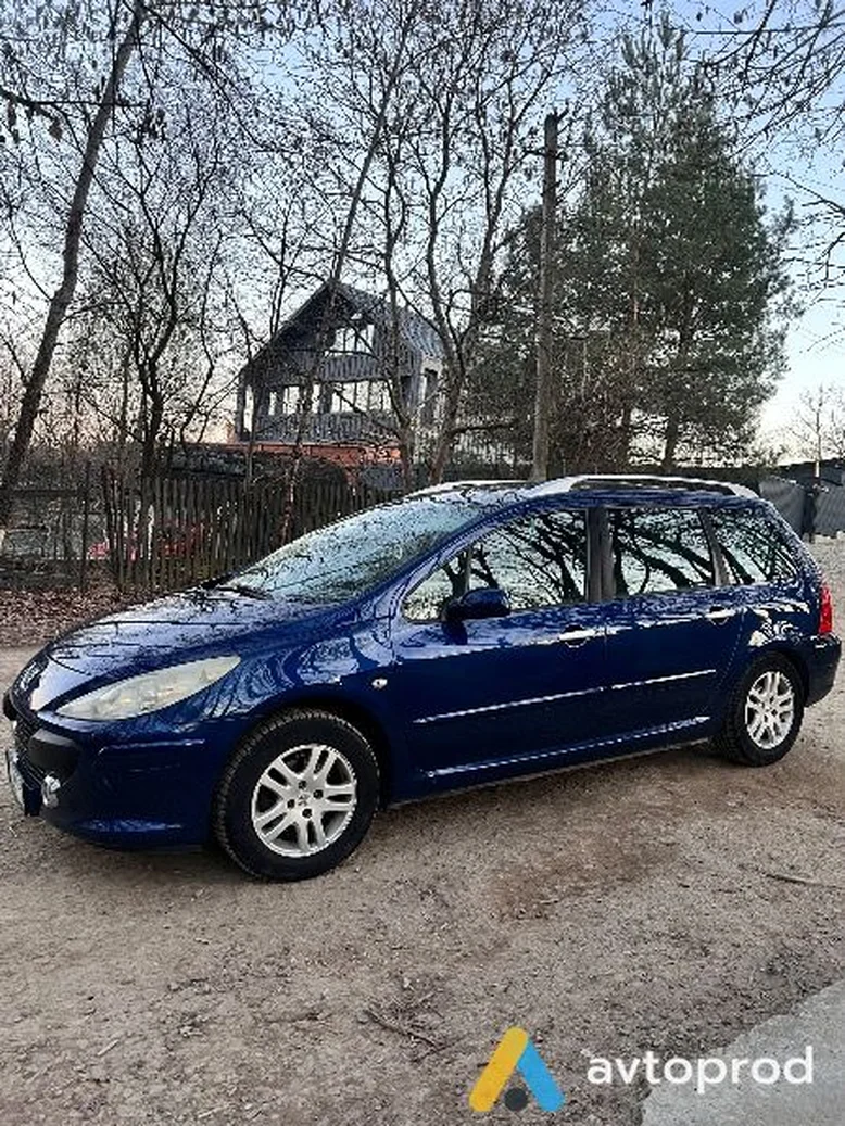 Фото 4 - Peugeot 307 2006