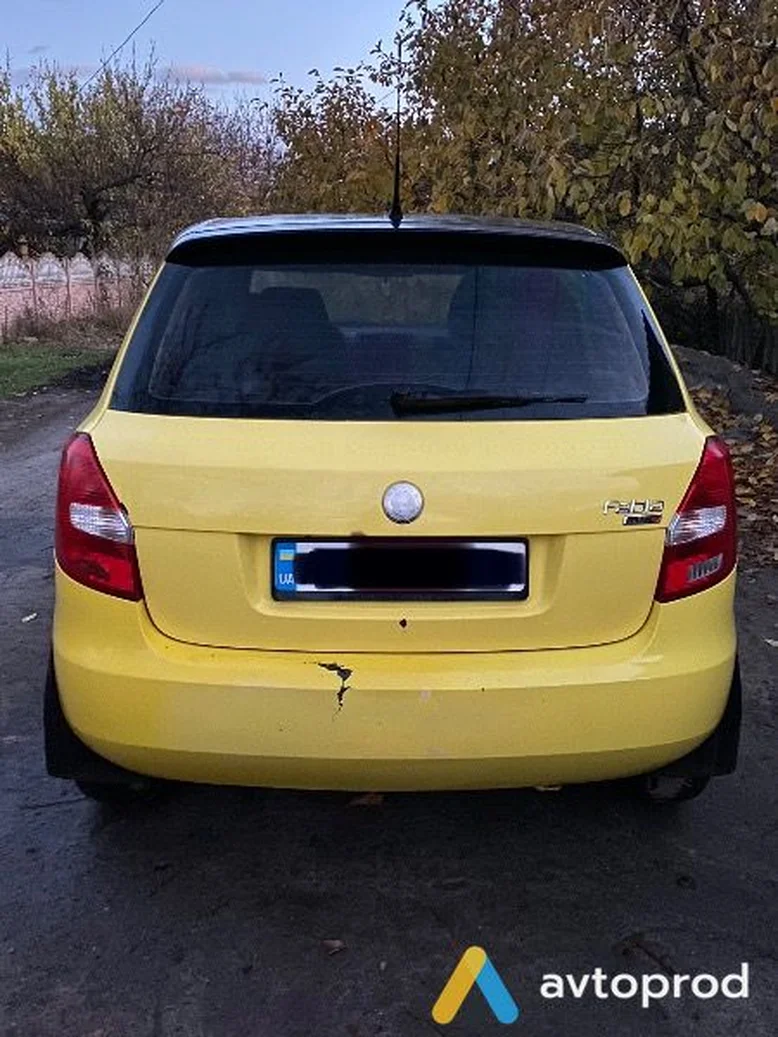 Фото 3 - Skoda Fabia 2009