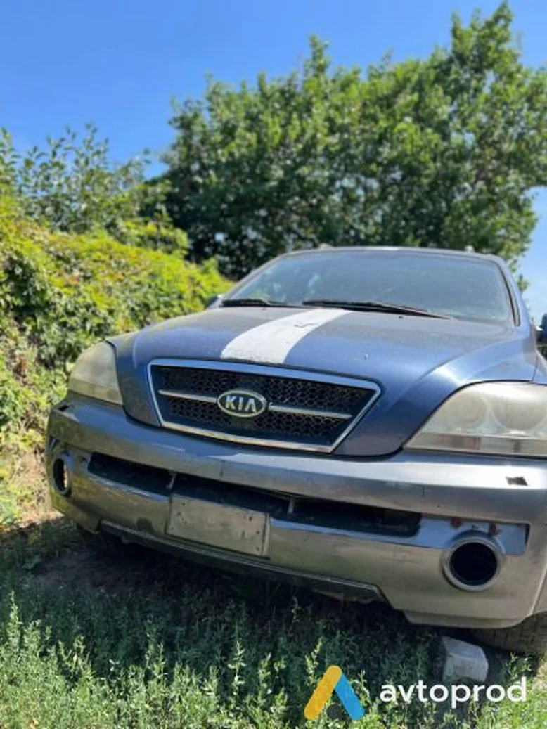 Фото 1 - Kia Sorento 2003