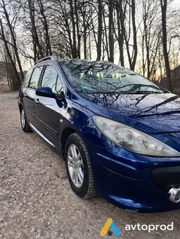 Фото 2 - Peugeot 307 2006
