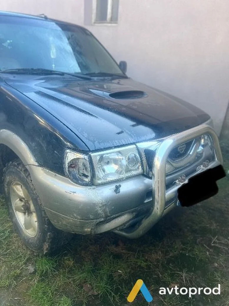 Фото 3 - Nissan Terrano 2001
