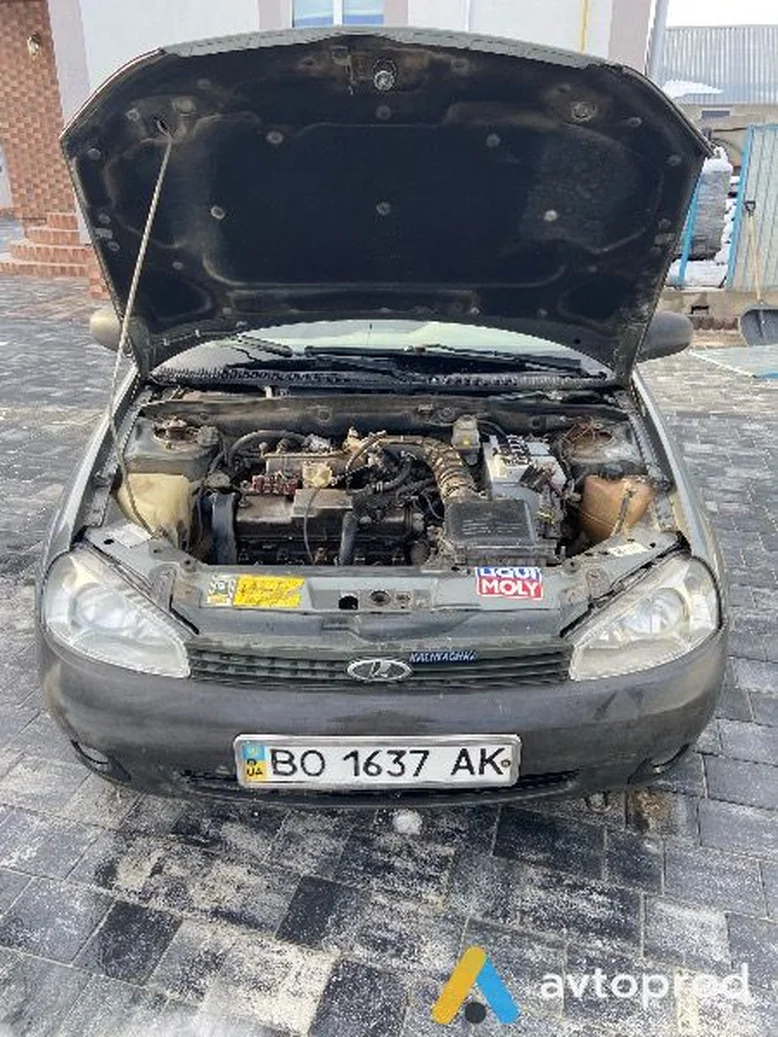 Фото 2 - VAZ Kalina 2008