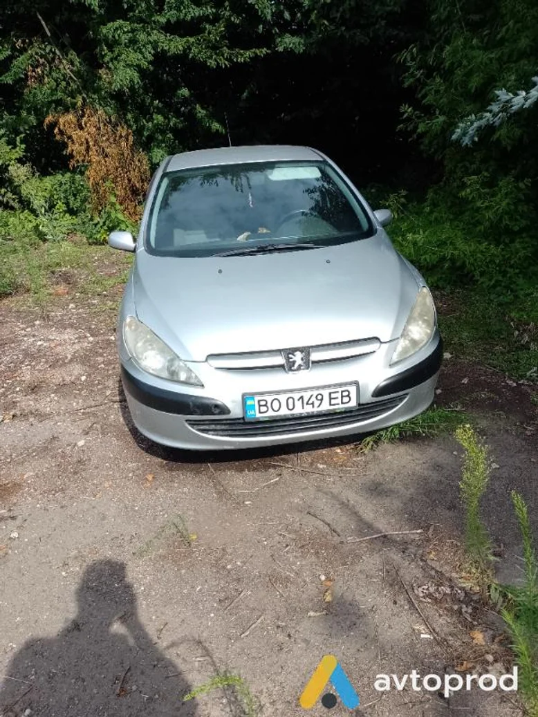 Фото 1 - Peugeot 307 2004