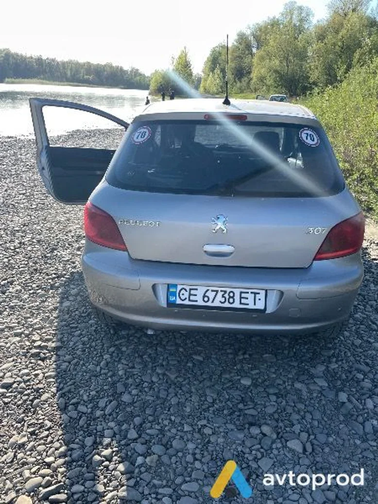 Фото 1 - Peugeot 307 2002