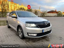 Фото 4 - Skoda Rapid 2014