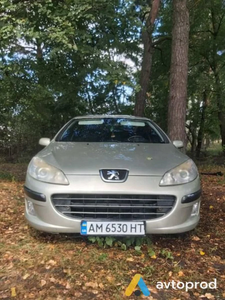 Фото 4 - Peugeot 407 2006