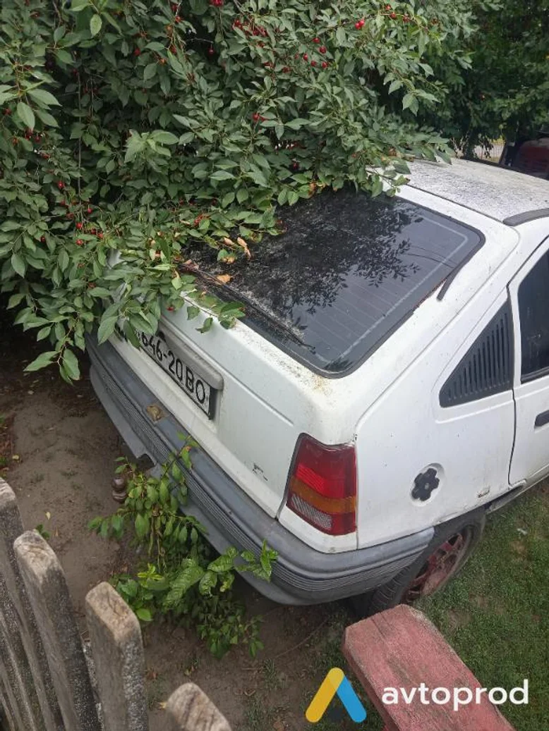 Фото 4 - Opel Karl 1987