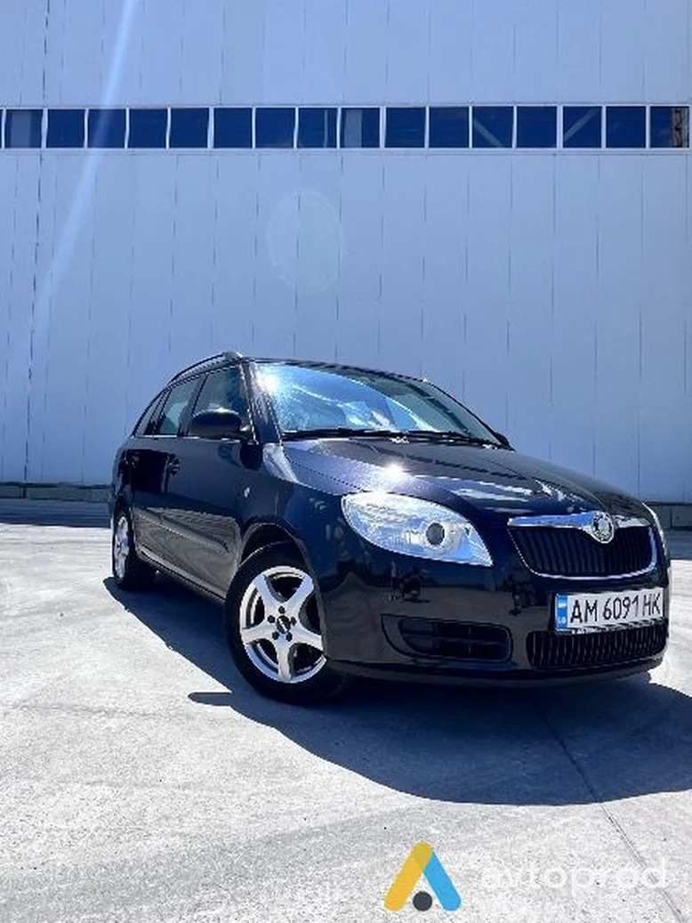 Фото 4 - Skoda Fabia 2008