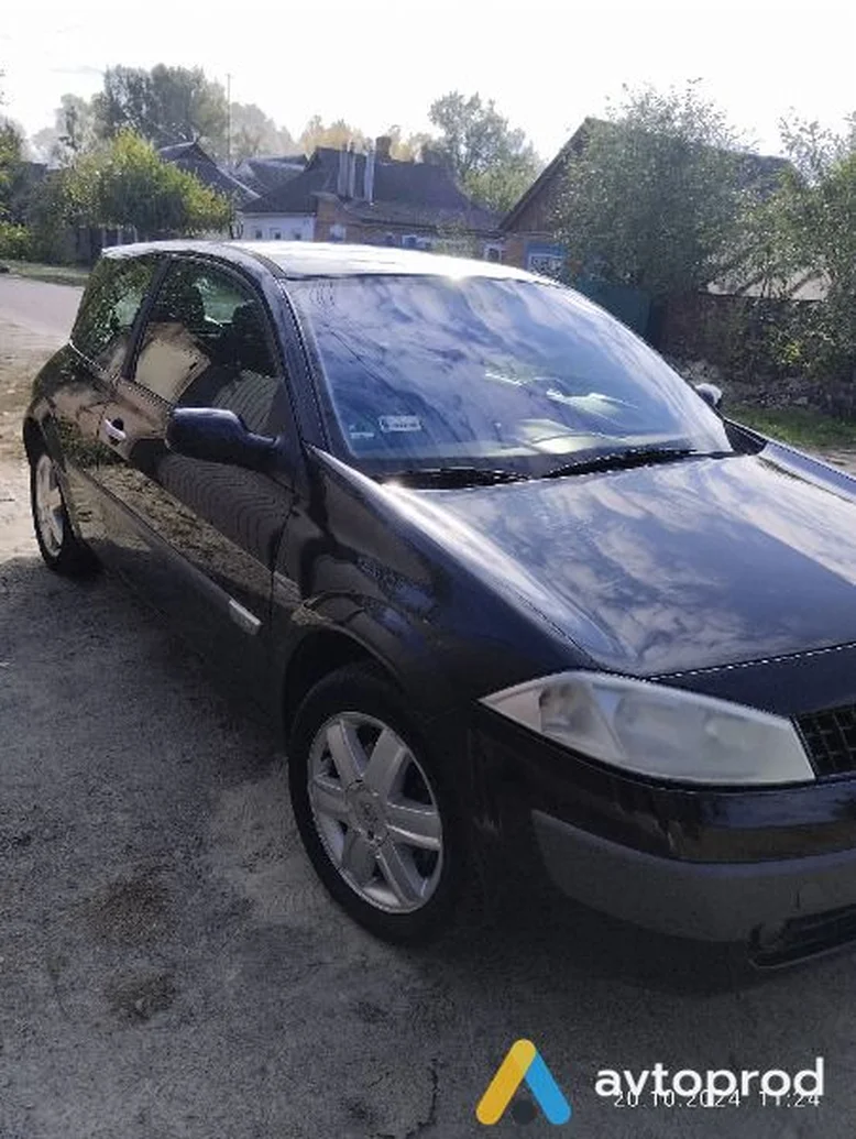 Фото 4 - Renault Megane 2003