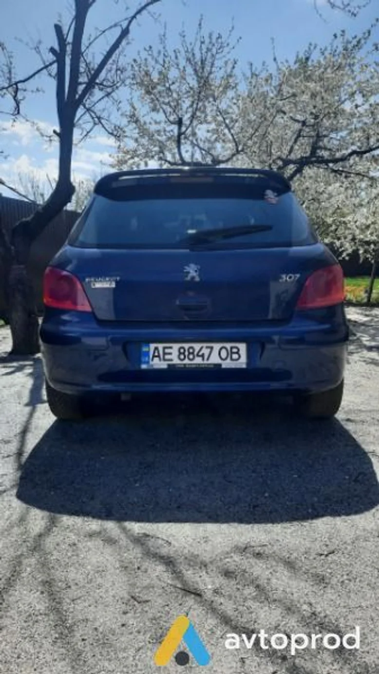 Фото 3 - Peugeot 307 2005