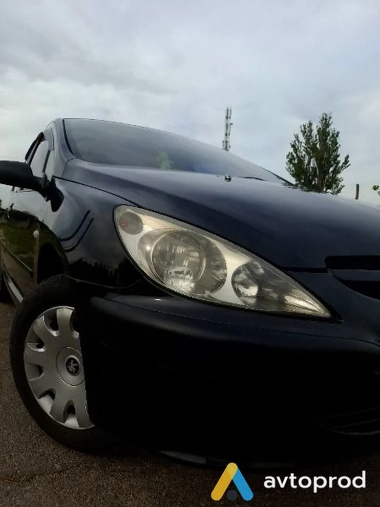Фото 3 - Peugeot 307 2003