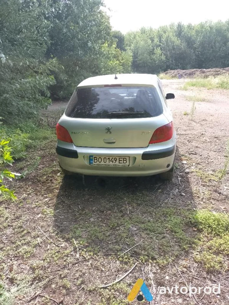 Фото 2 - Peugeot 307 2004