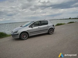 Photo 4 - Peugeot 307 2005