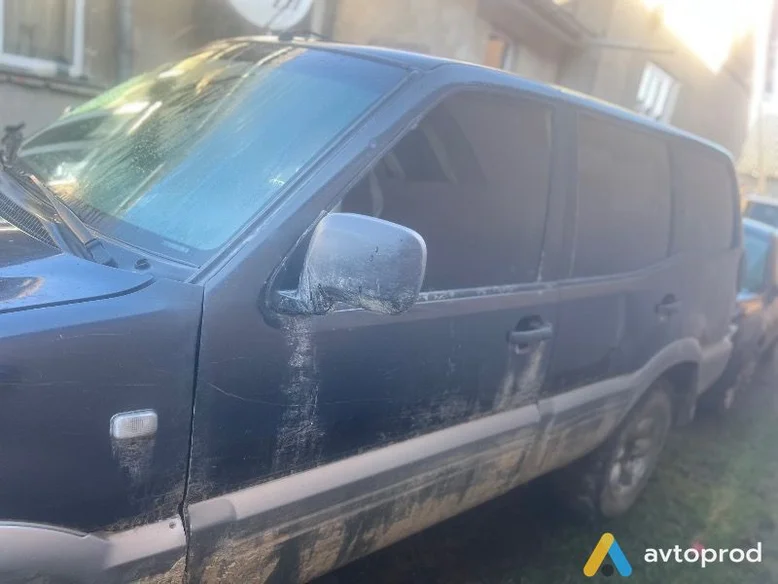 Фото 2 - Nissan Terrano 2001