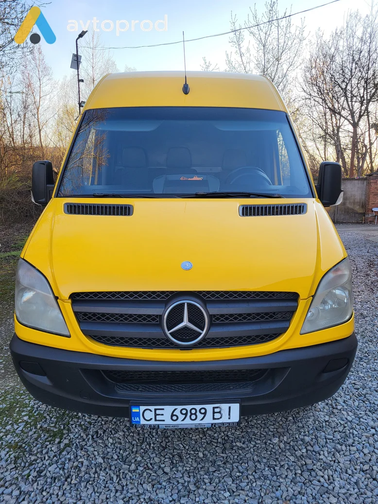 Фото 4 - Mercedes-Benz Sprinter 316 2008
