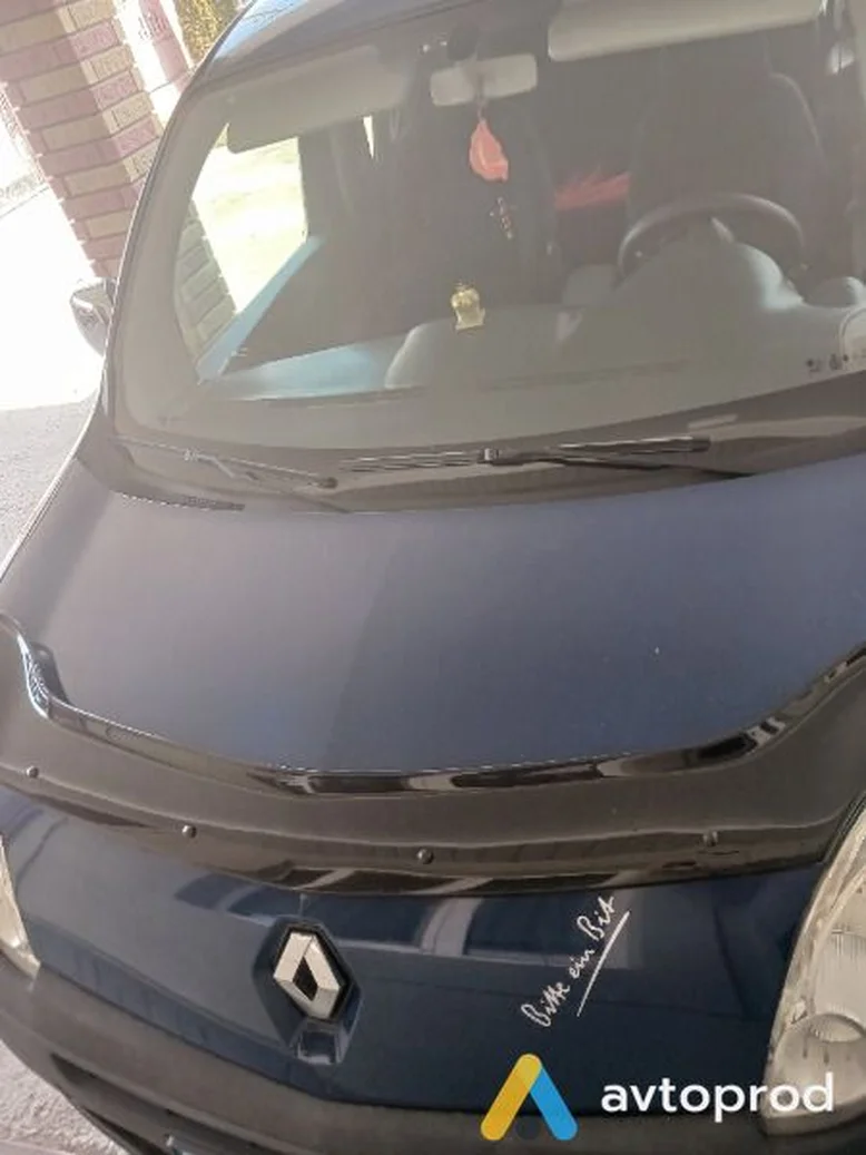 Фото 4 - Renault Kangoo 2010