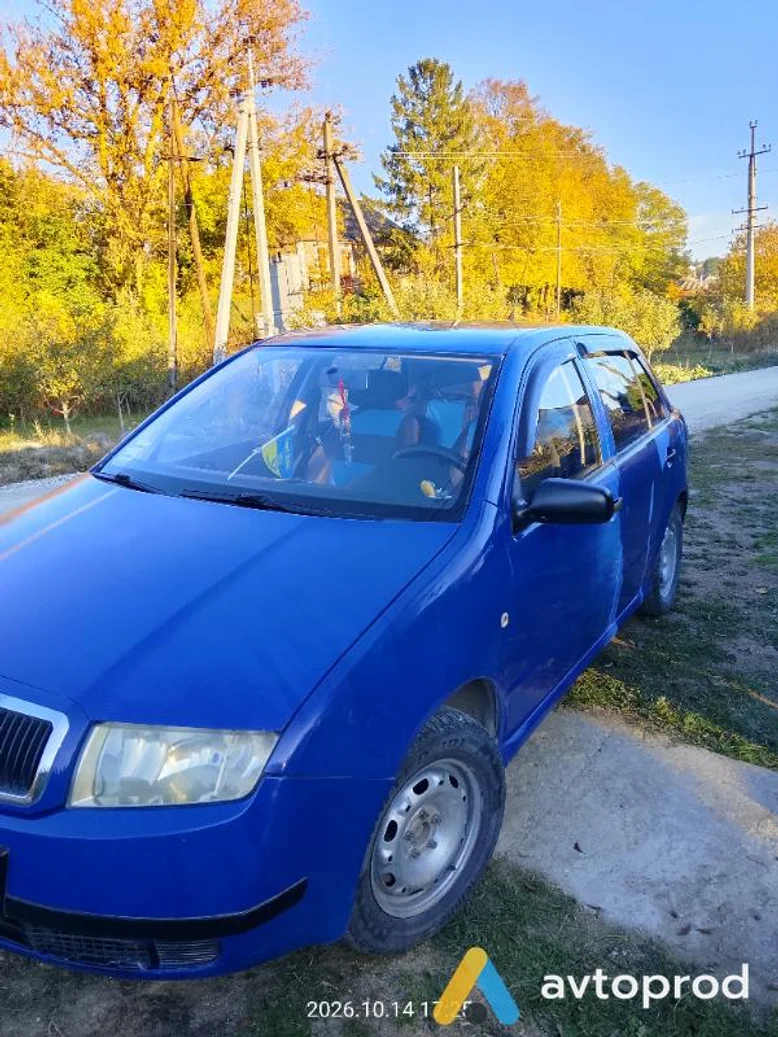 Фото 1 - Skoda Fabia 2003